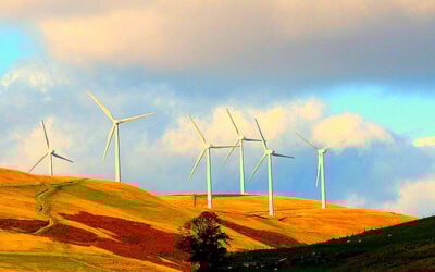 Scottish_Wind_Farm_-_B4bees