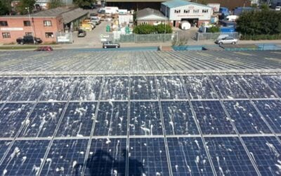 Seagull_Droppings_on_Solar_Panels