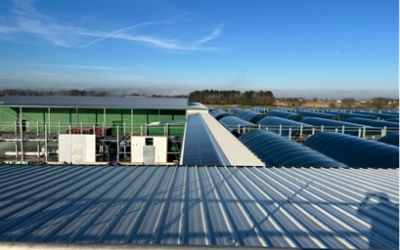 Smithy Mushrooms director John Dorian called ADE’s model “an absolute game changer”. Image: AMPYR Distributed Energy.