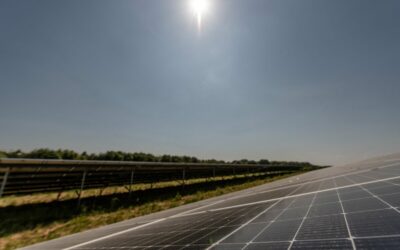 The two solar farms are located in Dorset and Wiltshire. Image: Centrica.
