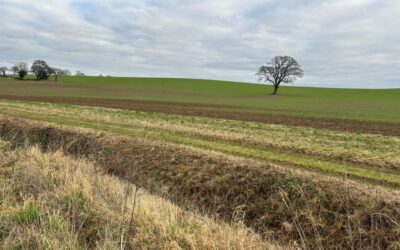 The proposed site of Enviromena's 48.9MW solar farm, refused despite being recommended for approval. Image: Enviromena.