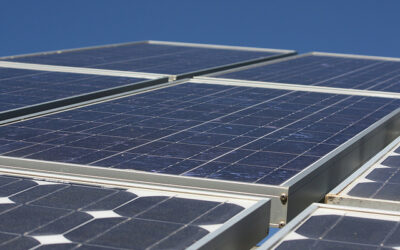 Solar_Generic_-_Mountain_Ash