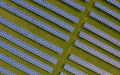 Rows of solar panels shot from above