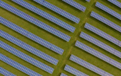 Solar panels in a green field viewed from above