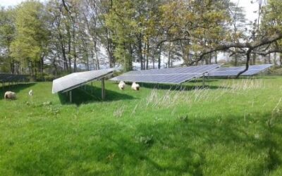 Solar_farm_agri