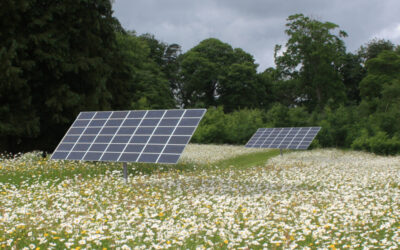 Solar_panels_in_landscape_for_web_source_Wildflower_Turf