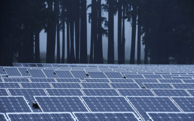Solar_panels_in_the_mist__Oregon_DOT