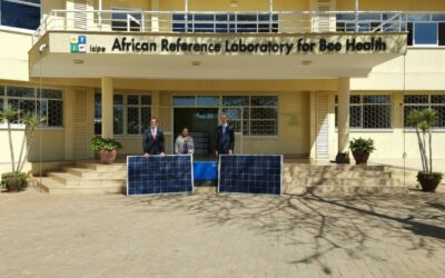 SolarcenturyKenya