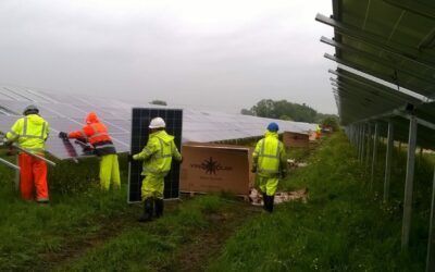 Swindon_council_farm_Abundance