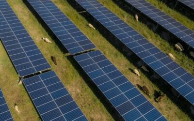 Between 2010 and 2015, when UK solar was at its peak, the average time for a project to get approval was around 29 weeks. Image: Baywa.re.