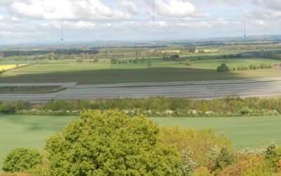 A wide shot of an empty green field