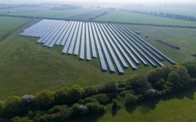 Over the 30-year lifespan of the development (pictured), sheep grazing will take place around the panels. Image: Blenheim Palace/Pete Seaward.