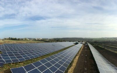 Wellingborough-5