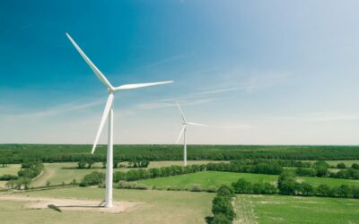 Wind_turbines_green_-_credit_Thomas_Reaubourg_on_Unsplash