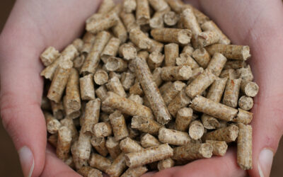 Wood_pellets_-_Andrew_Writer