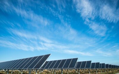 solar panels in a field