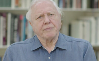 attenborough_screen_grab