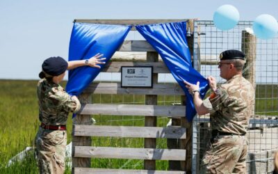 british_arm_duke_of_glo_solar_farm