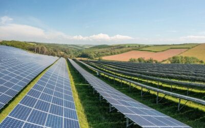 solar panels on green fields in a line