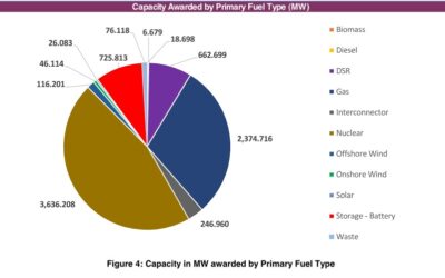 The results of the T-1 Auction by fuel type. Image: NESO.