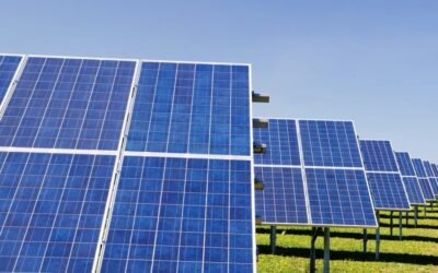 Solar panels on green grass, in a line away frokm the camera