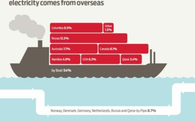energy_import_infographic_1