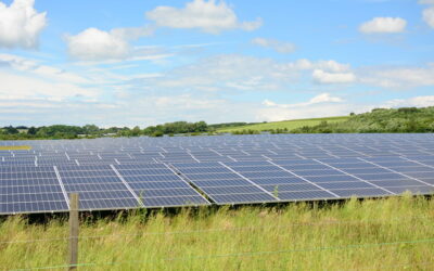 generic_green_solar_farm