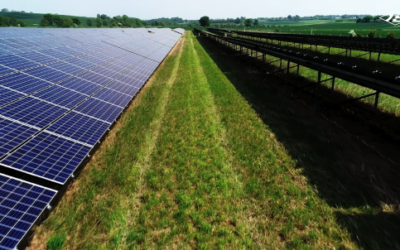 ground-mounted-solar-thumbnail_-_Jersey_Electricity.