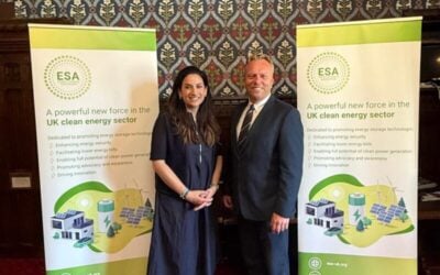 Jason Howlett (pictured, right) will stand as interim CEO of the organisation, with baroness Luciana Berger (left) chairing the Energy Storage Association. Image: ESA.