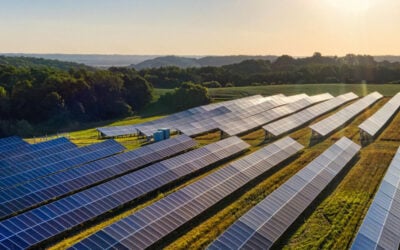 Director of solar energy specialists Infrabee, Henry Brown (MRISC) believes the time for positive change has come. Image: Infrabee.