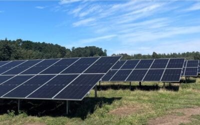 Innova's operational Stokeford solar park. Image: Innova.