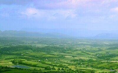 https://www.solarpowerportal.co.uk/wp-content/uploads/2023/09/ireland-fields.jpg
