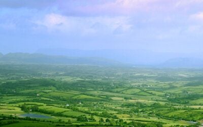 The location of one of the solar farms in Gorey, Wexford, is an area with one of the highest irradiation regions in Ireland. Image: www.public-domain-image.com.