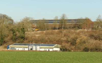 leckford_01