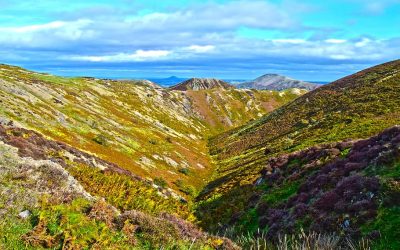 long-mynd-shropshire-england-united-kingdom-countryside-midlands_pxfuel