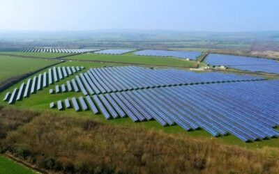 a solar farm from above