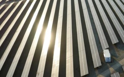 solar panels lit by the sun in a field from above