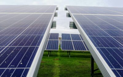close up of a field of solar panels