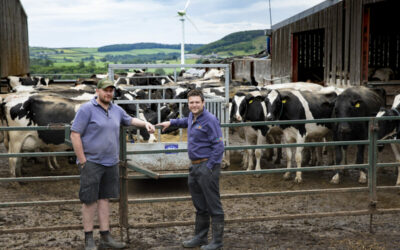 morris_and_son_farm_hafod_renewables
