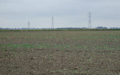 morris_fen