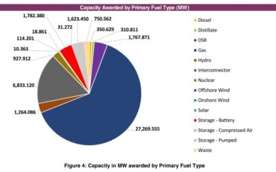 The results of the T-4 Auction by fuel type. Image: NESO.
