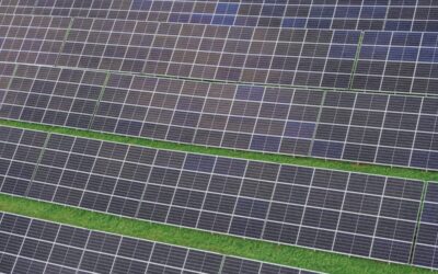 rows of solar panels from above in a green field
