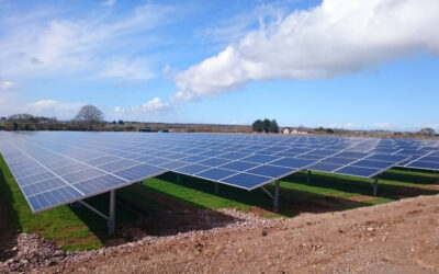 pace_solar_farm_2_image_PACE