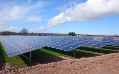 pace_solar_farm_2_image_PACE