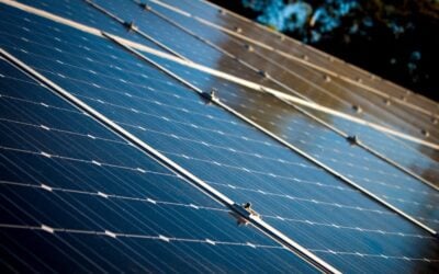 A closeup of solar PV cells