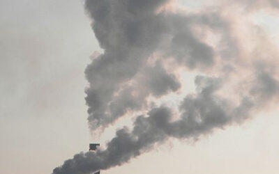 pollution_-_eutrophication__hypoxia