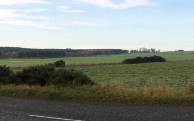 rolling fields under a blue sky