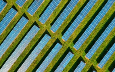 solar panels from above on green grass