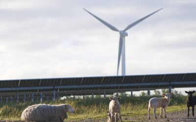 The site will cover an area of approximately 88.8 hectares and deliver a biodiversity net gain of 16% in habitat units, 55% in hedgerow units and 7% in watercourse units. Image: Renewable Connections.