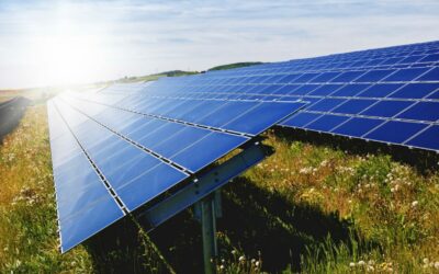 EDF Renewables UK has recenrntly a deal to work on 116MW solar and battery storage site. Image: EDF Renewables.